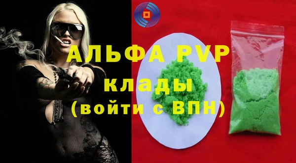 индика Арсеньев
