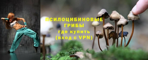 индика Арсеньев