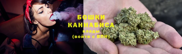 стафф Новодвинск