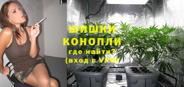 индика Арсеньев