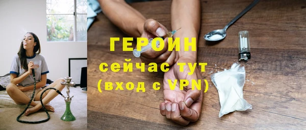 индика Арсеньев