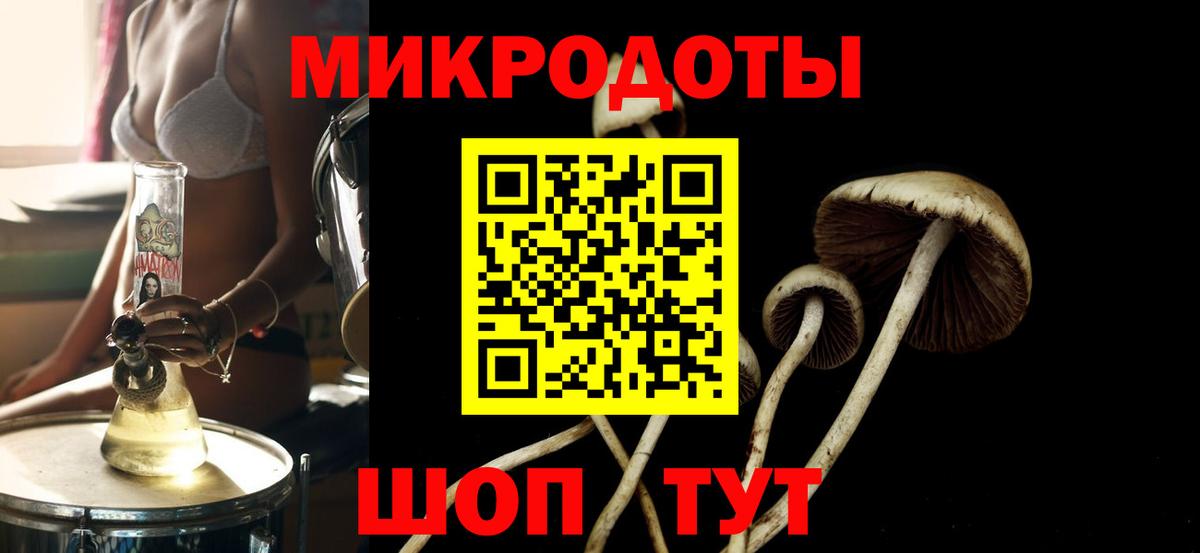 сколько стоит  Псилоцибиновые грибы Magic Shrooms  Мытищи  Вход с VPN  Псилоцибиновые грибы прущие грибы 